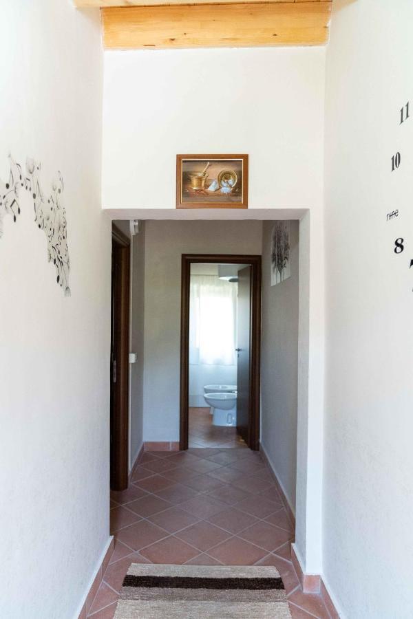 B&B Aria Antica Verbicaro Exterior foto